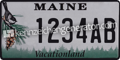 Kennzeichen Maine USA